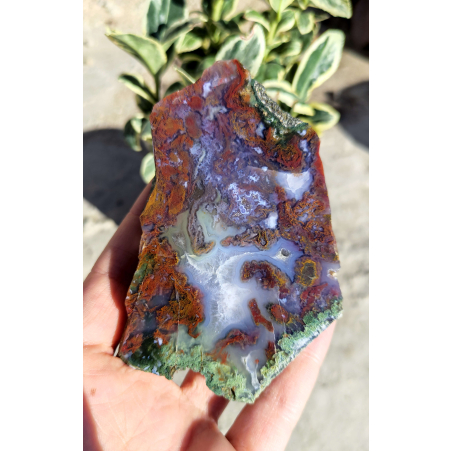 Български Мъхов Ахат