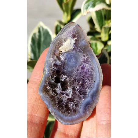 Български Аметист