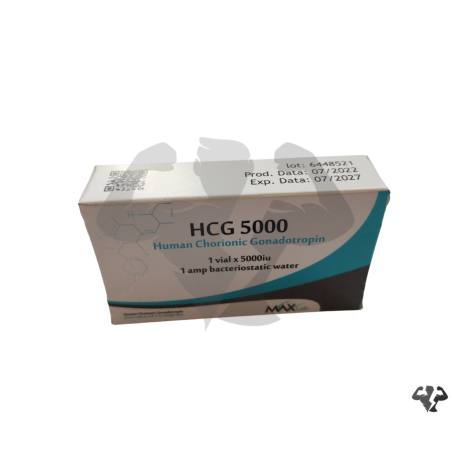 HCG 5000