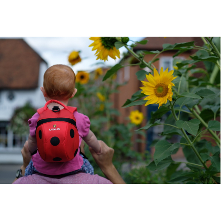  Раница LittleLife Калинка L10813, С повод 
