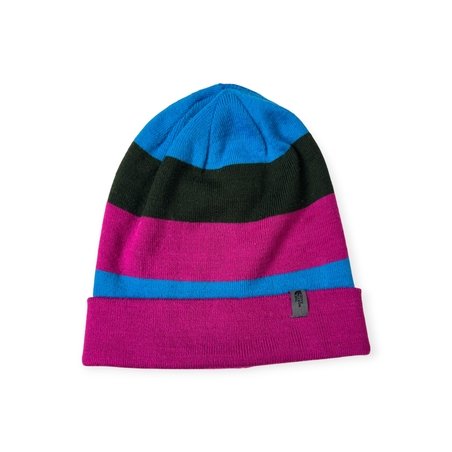 The North Face logo beanie (OS)