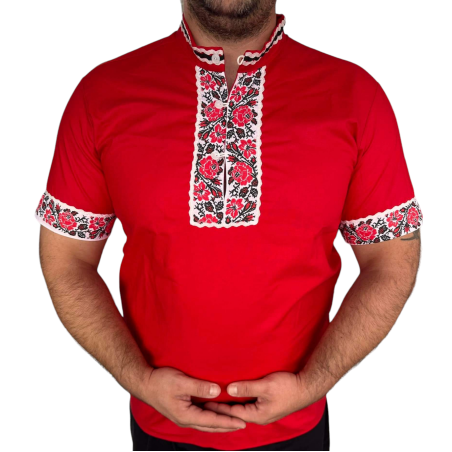 Мъжка риза 2