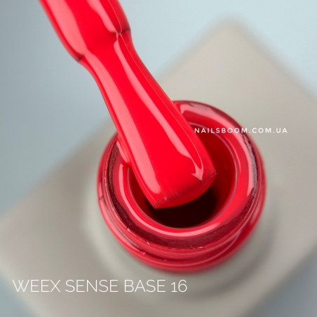 Sense 16