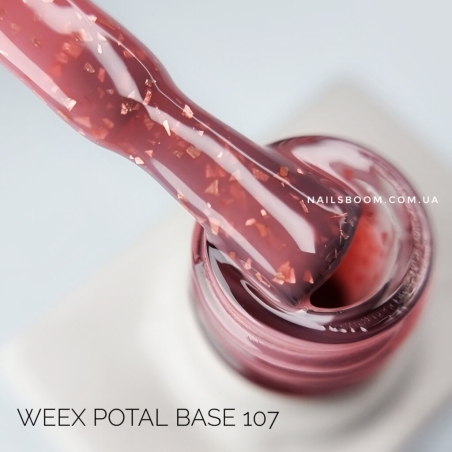 Potal 107