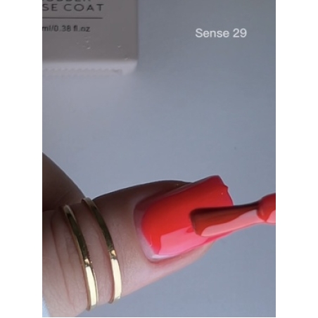 Sense 29