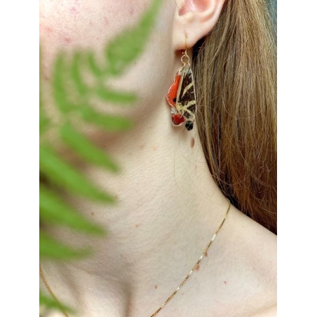 Butterfly wing earrings