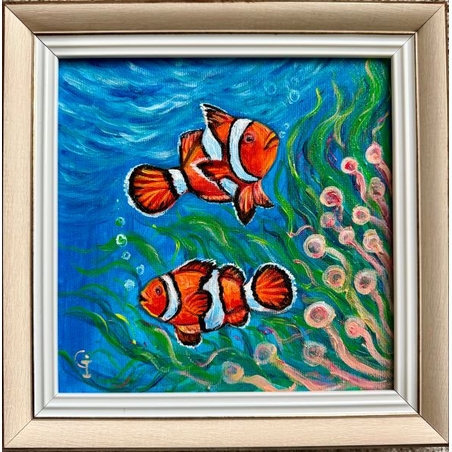 Nemo fishes