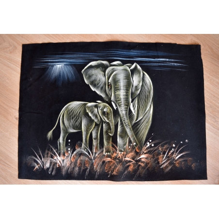 Hand Painted on black canvas 
