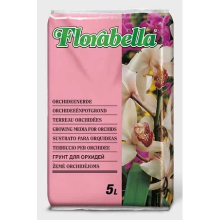 Florabella Орхидея