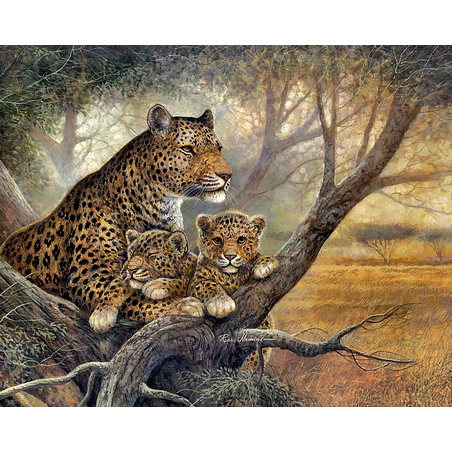 Картина по номера 40х50 см. - 30841