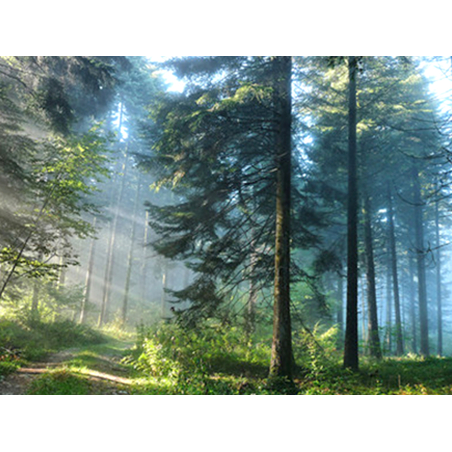 Диамантен гоблен 20х30 см. - JS12316