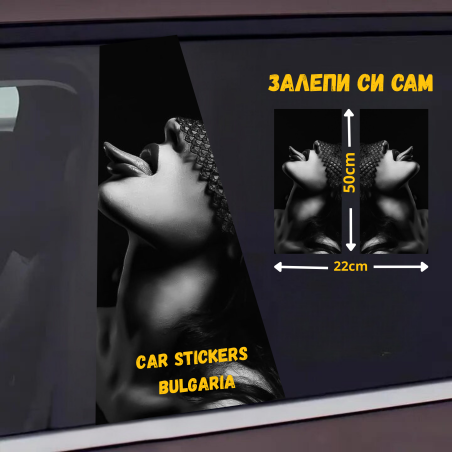 СТИКЕР № 281