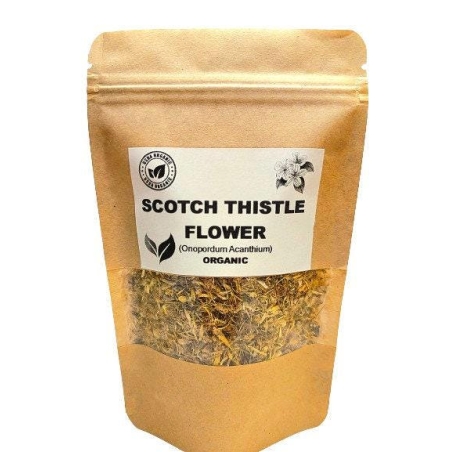 Organic SCOTCH THISTLE FLOWER | onopordum acanthium | scotch thistle tea | herbal tea | dried flower | herba | tea | organic herbs | flower