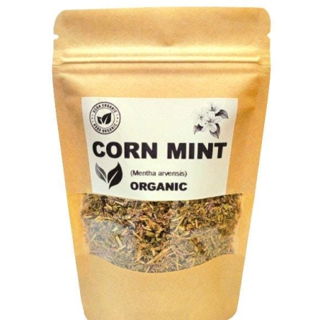 Organic CORN MINT | mentha arvensis | corn mint tea | field mint tea | wild mint tea | herbal tea | dried herbs | organic herbs | herba tea