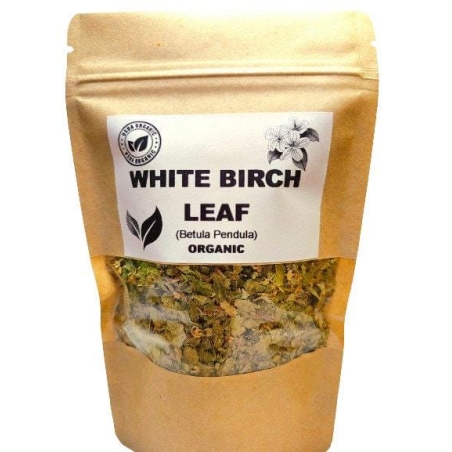 WHITE BIRCH LEAF | Betula pendula | B. alba – Natural Detox & Immune Support