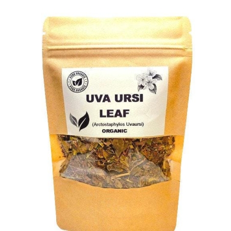 Organic UVA URSI LEAF | arctostaphylos uvaursi | uva ursi tea | dried leaf | organic herbs | dried herbs | herba | tea