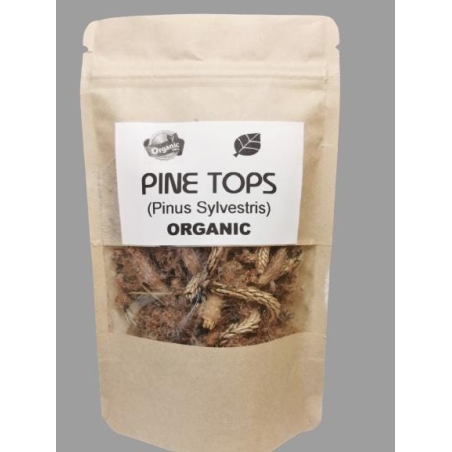 Organic PINE TOPS | Pinus sylvestris | Wild Picked | Pine Tops for Pine Tops Tea Premium Quality Wildharvested Pine Tops Tea