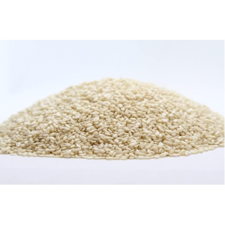Organic SESAME SEED | Sesamum indicum | Sesame seeds | Organic Spices | Natural Herbs Remedy | Natural Organic Tea | Loose Herb Gift