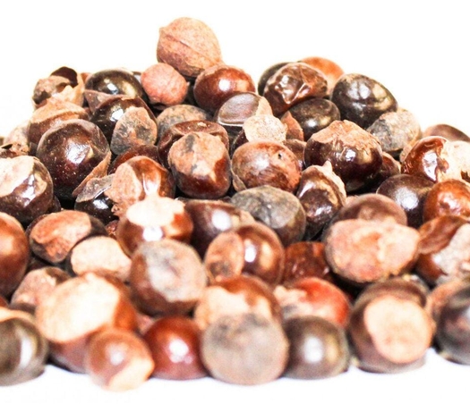 Organic Guarana Seeds | Whole Guarana Seeds | Paullinia Cupana | Guarana Fruit | Guarana Tea | Dried Fruit | Organic Fruit | Herbal Tea