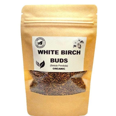 Organic White Birch Buds (Betula pendula) – Natural Detox & Immune Support