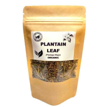 Organic PLANTAIN LEAF | plantago major | plantain tea | herbal tea | dried herbs | organic herbs | herba | tea | organic bulk herb