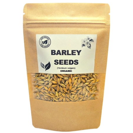 Organic BARLEY SEEDS | hordeum vulgare | barley tea | herbal tea | dried seeds | organic seeds | organic herb | herba | tea