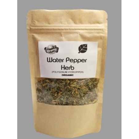 Organic WATER PEPPER HERB (Polygonum hydropiper) – Natural Anti-inflammatory & Antibacterial Remedy