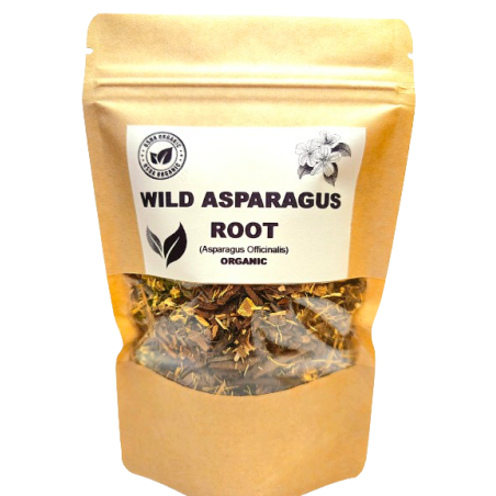 Organic Wild Asparagus Root (Asparagus officinalis)