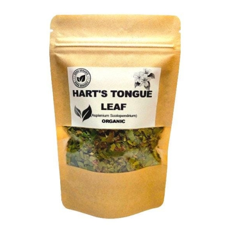 Organic HART'S TONGUE LEAF | asplenium scolopendrium | hart's tongue fern leaf | harts tongue tea | herbal tea | organic herbs | herba | tea