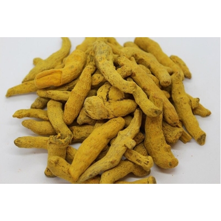 Organic TURMERIC ROOT | Curcuma Long | Turmeric Root Tea | Dried Root | Organic Root | Herbal Tea | Herba | Tea | Organic Herbs