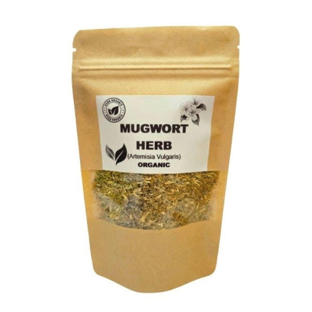 Organic MUGWORT HERB | artemisia vulgaris | mugwort tea | herba artemisiae | herbal tea | radix artemisiae | organic herbs | herba