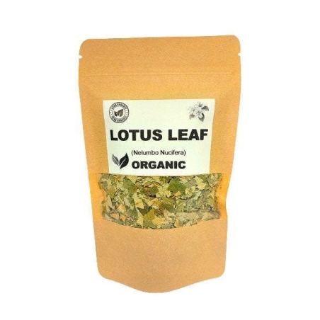 Organic LOTUS LEAF | nelumbo nucifera | lotos leaf tea | dried leaf | herbal tea | herba | tea | herbalism | organic herbs | dried herbs