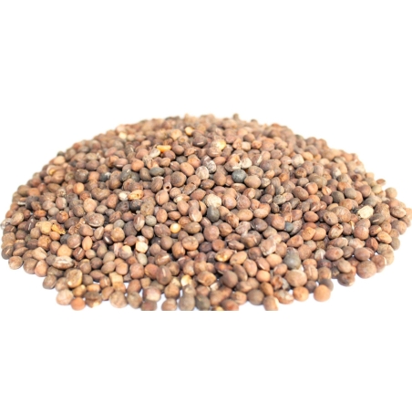 Organic COMMON VETCH SEEDS | Vicia sativa | Vetch Seeds Tea | Garden Vetch | Dried Seeds | Organic Seeds | Herbal Tea | Herba