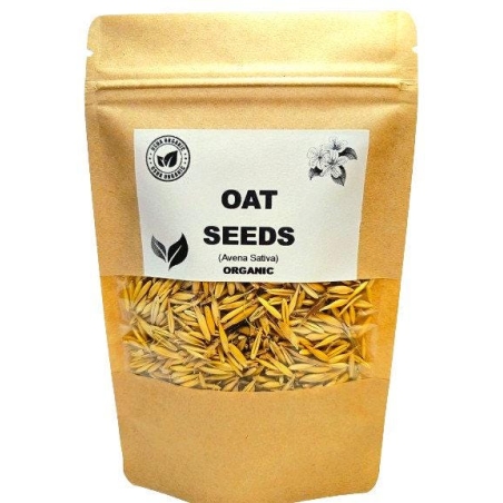 Organic OAT SEEDS | avena sativa | oat seeds tea | herbal tea | oatstraw seeds | dried seeds | organic seeds | organic herb | herba | tea