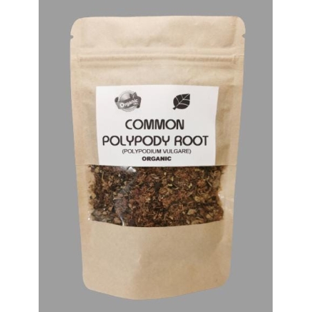 Organic COMMON POLYPODY ROOT | Polypodium vulgare | Polypody Root Tea | Herbal Tea | Herba | Tea | Dried Root | Organic Root | Organic Herbs