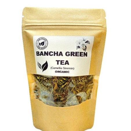 Organic BANCHA GREEN TEA | camellia sinensis | herbal tea | dried herbs | organic herbs | herba | tea