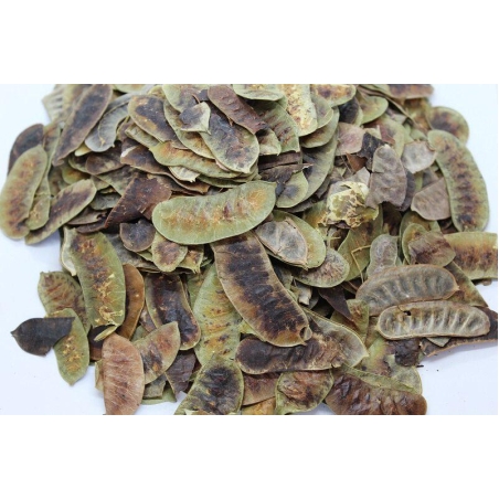 Organic SENNA PODS | Cassia Angustifolia | Senna Pods Tea | Cassia Senna | Cassia Acutifolia | Herbal Tea | Organic Herbs | Herba | Senna