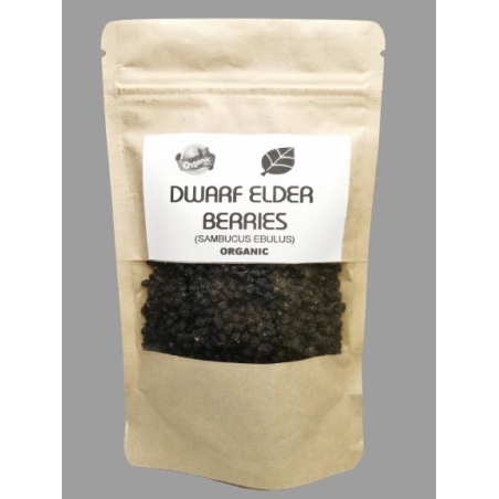 Organic DWARF ELDER BERRIES | Sambucus Ebulus | Elder berries Tea | Herbal Tea | Dried Berries | Herba | Tea | Organic Fruits Tea