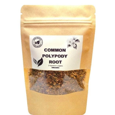 Organic common polypody root | polypodium vulgare | polypody tea | common tea | herbal tea | dried root | organic herbs | herba | tea