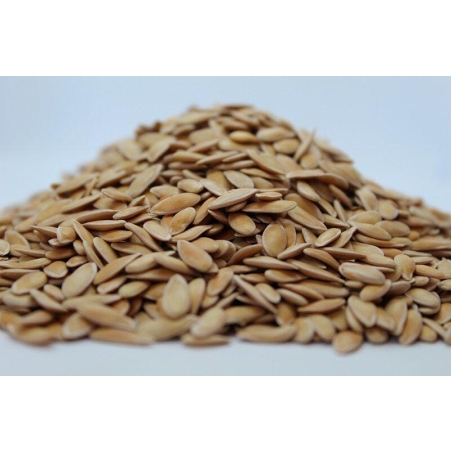 Organic MELON SEEDS | Cucumis Melo | Melon Tea | Herbal Tea | Semens | Dried Seeds | Organic Seeds | Organic Herbs