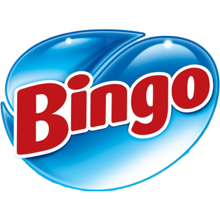 Bingo