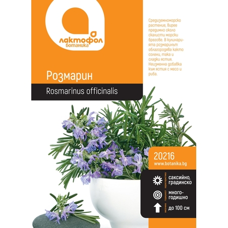 Семана розмарин