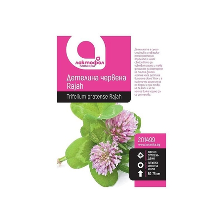 Детелина червена