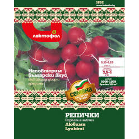 СЕМЕНА БЪЛГАРСКИ РЕПИЧКИ ЛЮБИМИ