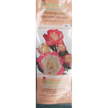 Храстовидна роза на гол корен