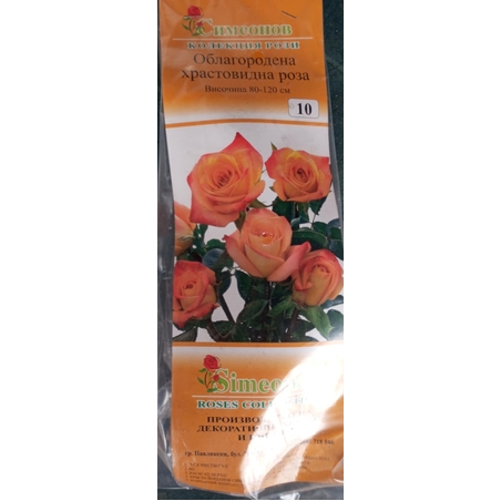 Храстовидна роза на гол корен