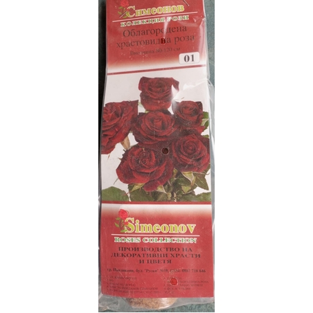 Храстовидна роза на гол корен