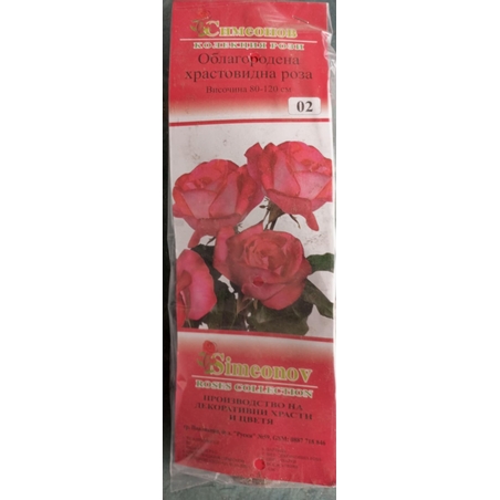 Храстовидна роза на гол корен