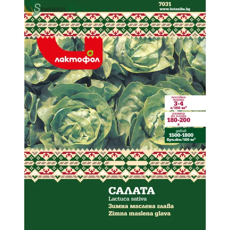 Български семена Салата зимна маслена глава