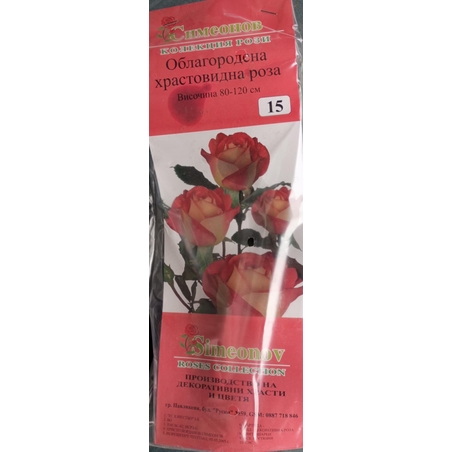 Храстовидна роза на гол корен